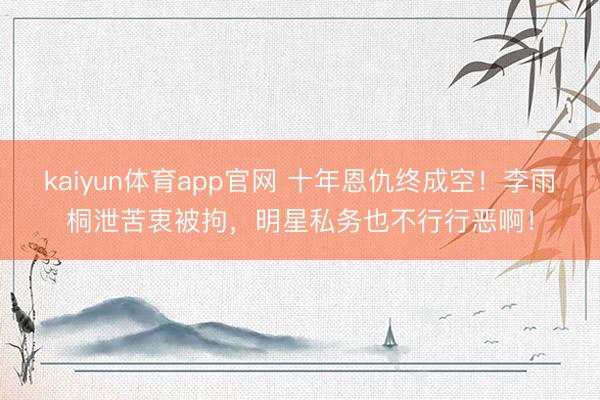 kaiyun体育app官网 十年恩仇终成空！李雨桐泄苦衷被拘，明星私务也不行行恶啊！
