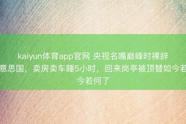 kaiyun体育app官网 央视名嘴巅峰时裸辞赴好意思国，卖房卖车睡5小时，回来岗亭被顶替如今若何了